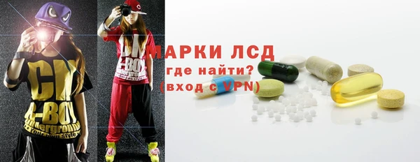 прущие грибы Алзамай