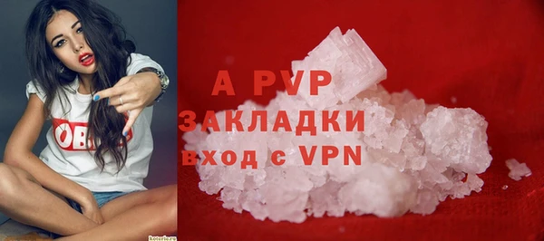 крисы Алексин