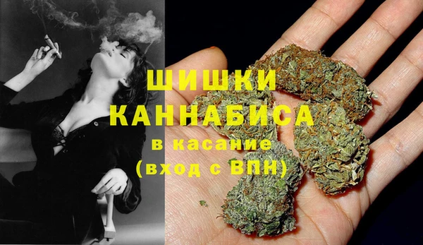 молекула духа Алексеевка