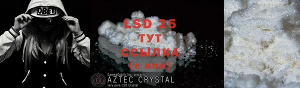 крисы Алексин