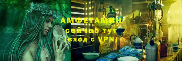 крисы Алексин