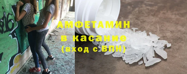 прущие грибы Алзамай