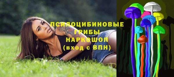 молекула духа Алексеевка